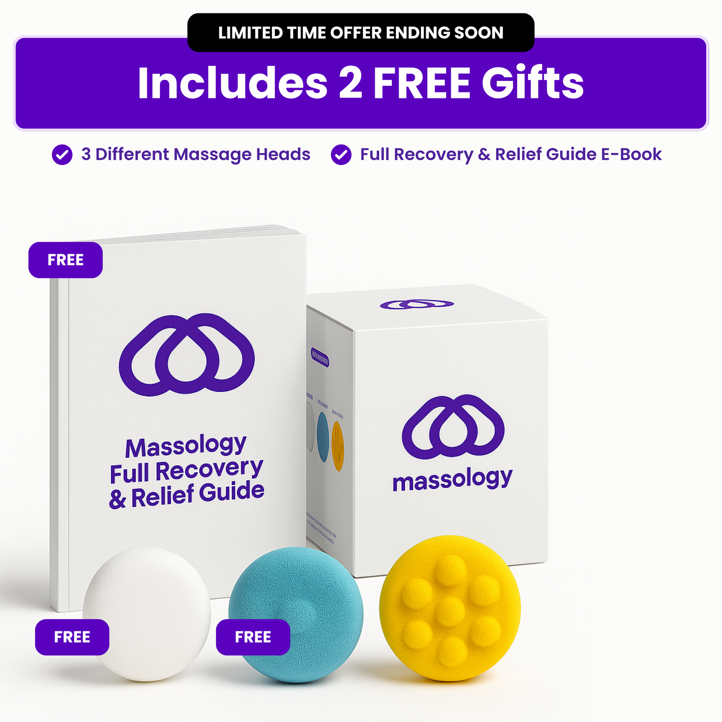 Massology Pro